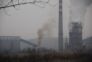 污染企业成‘老赖’ 环保局两年连开29张罚单，大气粉尘成顽疾